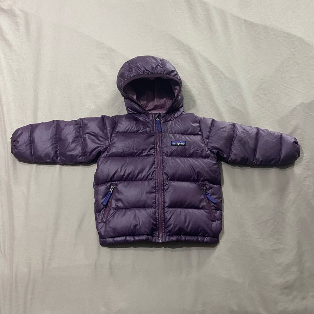 Patagonia girls 2T down filled hooded coat NEW